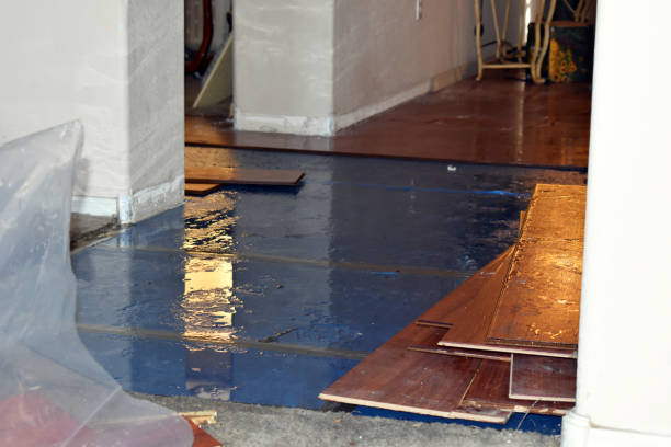 Professional Basement Flood Cleanup technician working in Pontotoc, MS